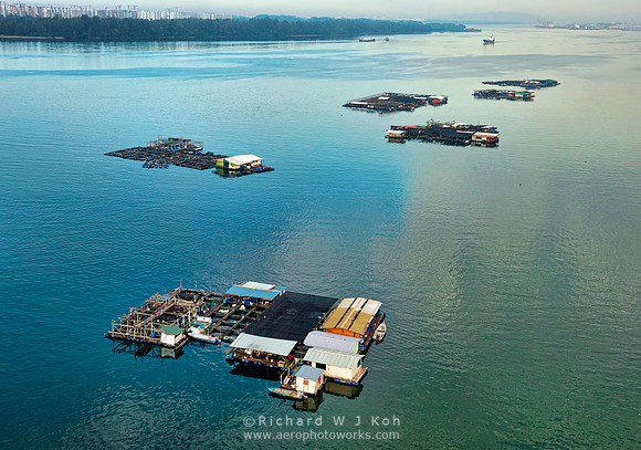 Aquaculture
