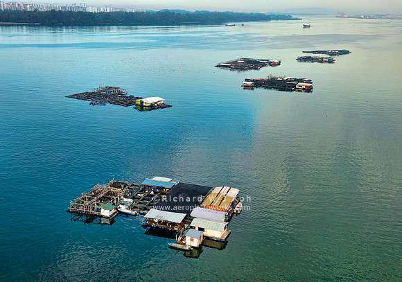 Aquaculture