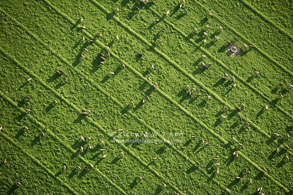 Aerial Photography, New Zealand