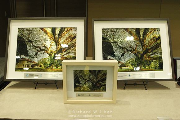 180921APWRK-AAIS 15th Anniv Gala-0035_RK41191