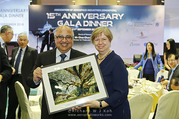 180921APWRK-AAIS 15th Anniv Gala-0756_R5D8341