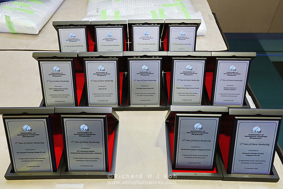 180921APWRK-AAIS 15th Anniv Gala-0782_R5D8367