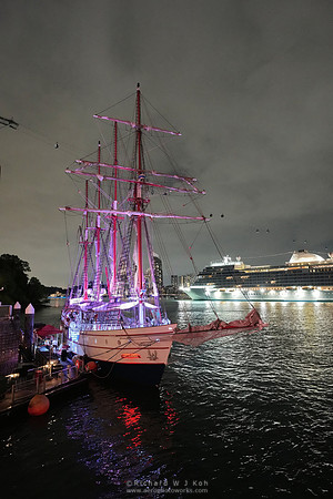 231129APWRK-Fokker-year end party, Royal Albatross-630-A1R05385